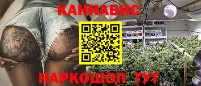 сатива Краснодар