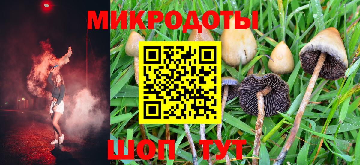 Галлюциногенные грибы мицелий  Вход с VPN  Воронеж 